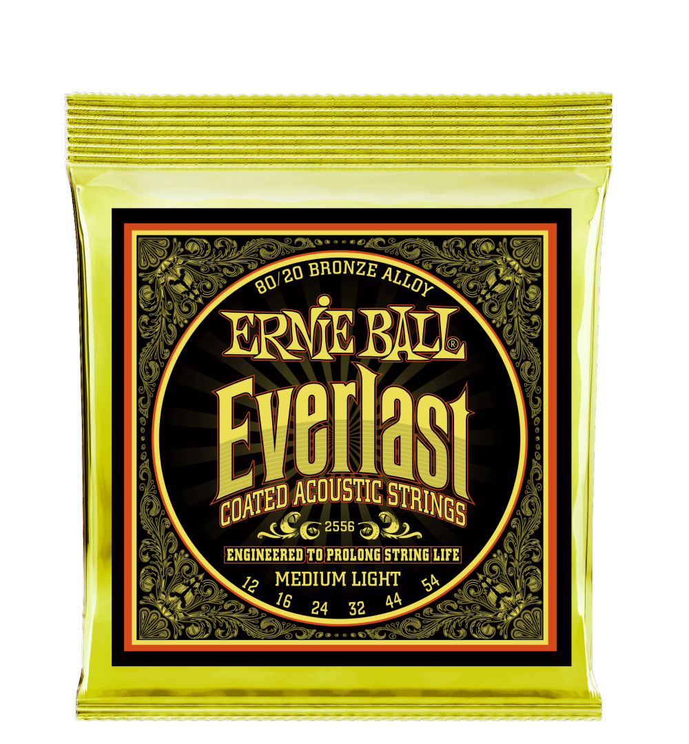 Ernie Ball 2556 Everlast 80/20 Bronze Medium Light Acoustic Guitar Strings  (12-54) - JB Music