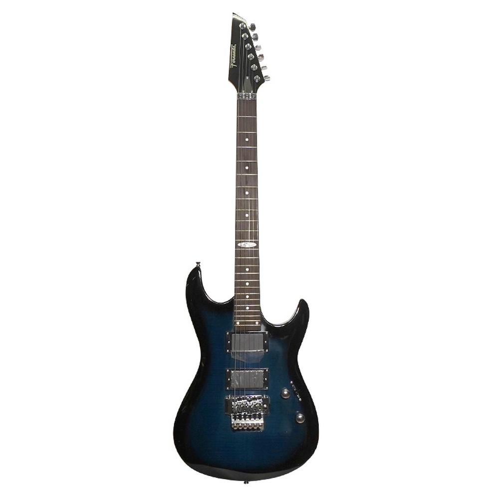 Fernando electric guitar unique deals series price