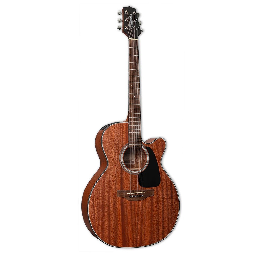 Best takamine deals acoustic electric guitar