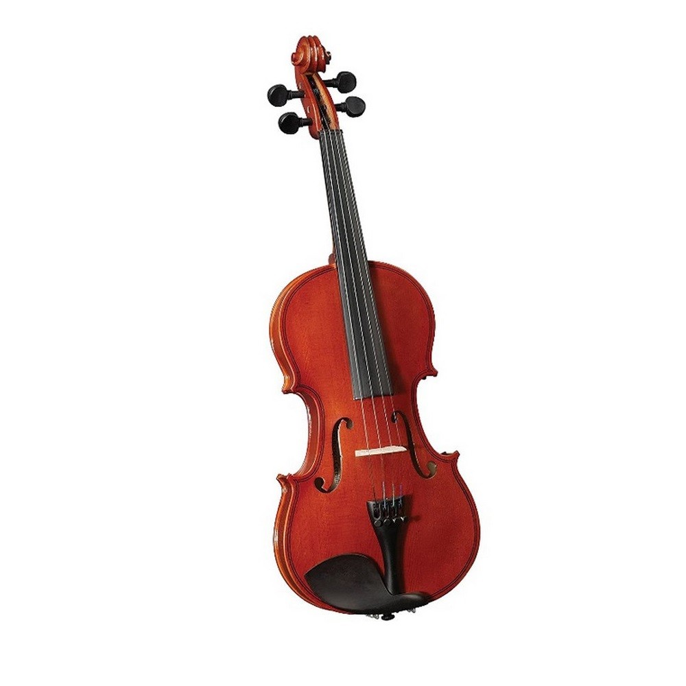 Cervini HV-100 Violin Outfit - Size 3/4