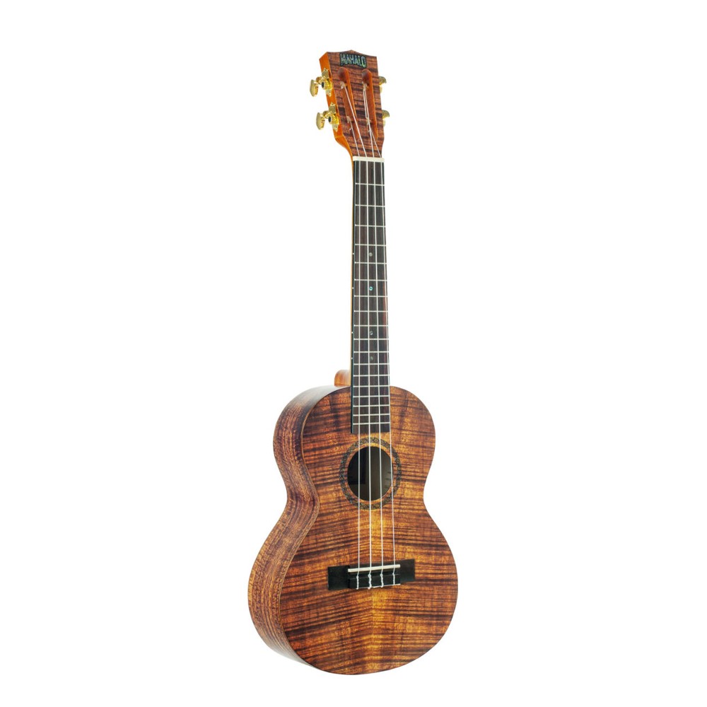 Electric 2024 ukulele price